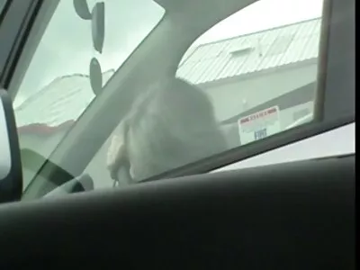 Brünette Milf nimmt an der sexy Zeit free porn reif ihrer Stieftochter teil